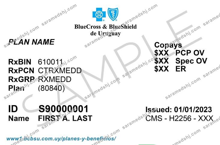 Uruguay health insurance card